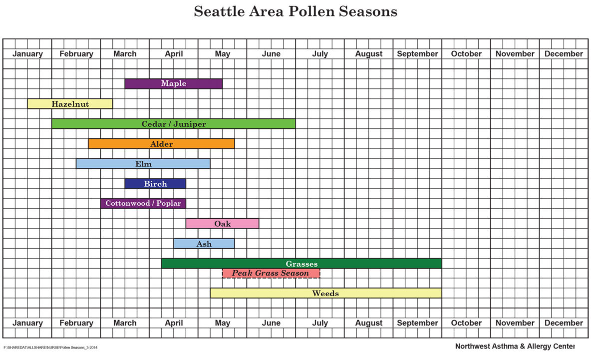 Pollen Count - Northwest Asthma & Allergy Center