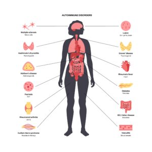 Outline image of woman with internal organs highlighted